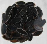 10 Achatscheiben, schwarz und dunkelbraun, 40-60, 60-80 mm 