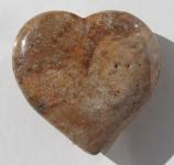 Herz aus versteinertem Holz, fossiles Holz, 40 mm 
