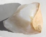 Milchopal aus Südafrika, Opal, Rohstein, Stufe 68 g 