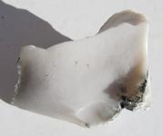 Opal weiss, Milchopal, Kascholong, Südafrika, Rohstein 82 g., 55 mm 
