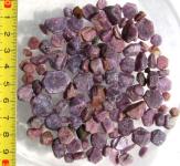 50 Ct Grossular aus Mali Grüner Granat Edelsteine getrommelt